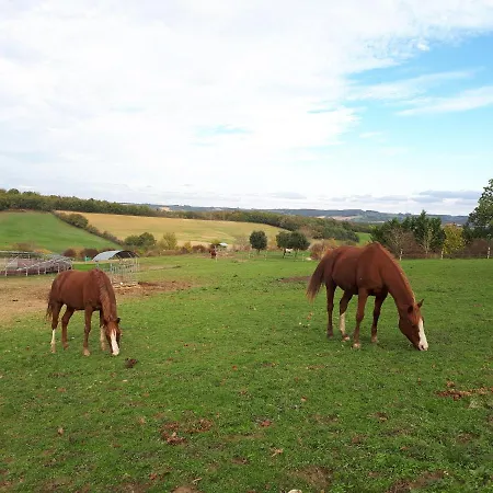 Domaine D'escapa Üdülőpark Estipouy