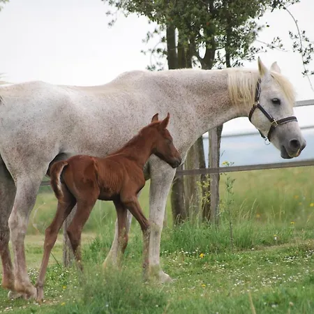 홀리데이파크 Domaine D'escapa