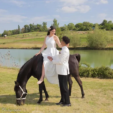 Üdülőpark Domaine D'escapa Estipouy