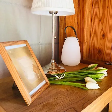 Domaine D'escapa 홀리데이파크 Estipouy