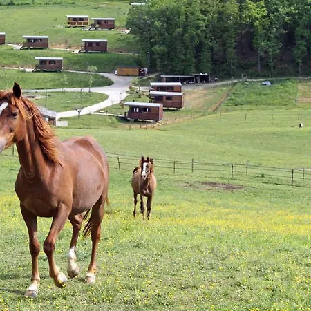 홀리데이파크 Domaine D'escapa