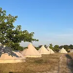 Domaine D'escapa