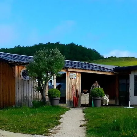 Domaine D'escapa