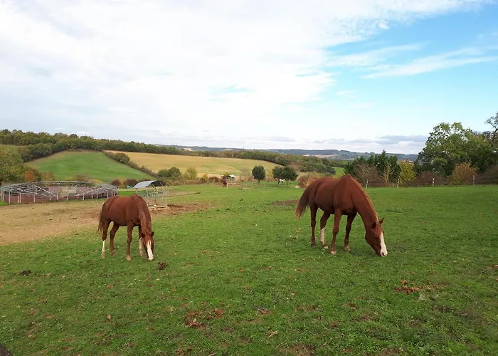 Domaine D'escapa Parco vacanze Estipouy