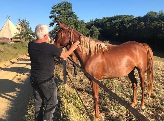 Domaine D'escapa 4* Estipouy