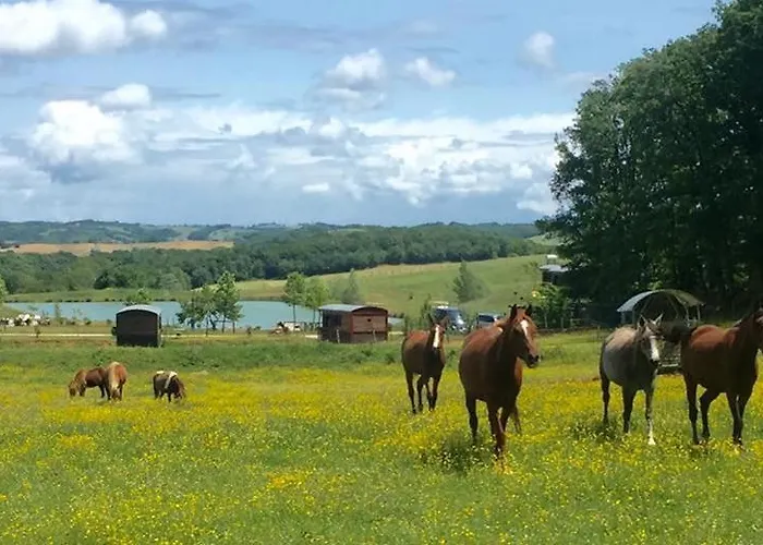 Parco vacanze Domaine D'escapa