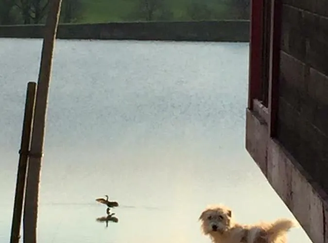 Domaine D'escapa Parco vacanze Estipouy