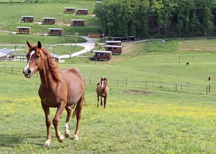 Parco vacanze Domaine D'escapa